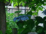 00636.JPG